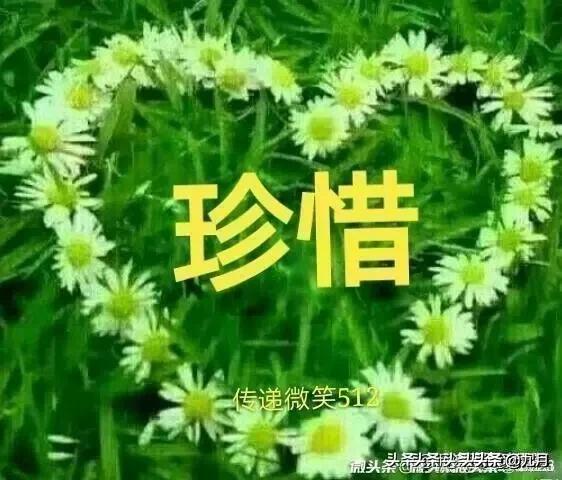 今日科普一下！被二姨拐卖男子发声,百科词条爱好_2024最新更新