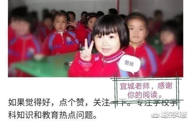 今日科普一下！拟禁中小学设置商超,百科词条爱好_2024最新更新