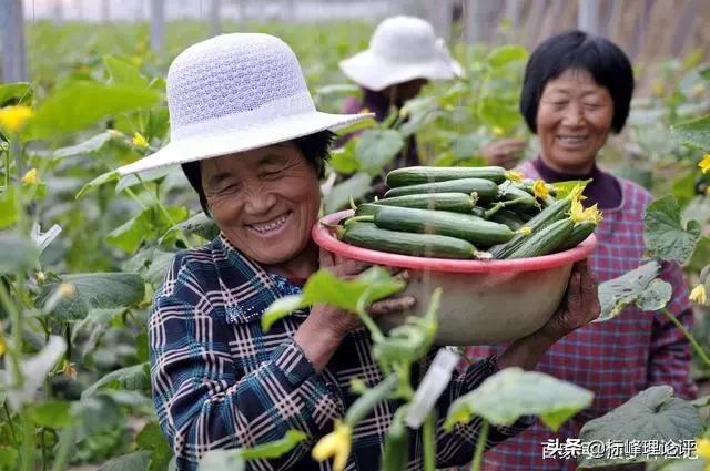 今日科普一下！被困民宿错过考研,百科词条爱好_2024最新更新