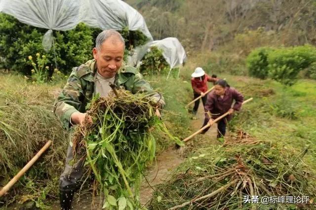 今日科普一下！被困民宿错过考研,百科词条爱好_2024最新更新