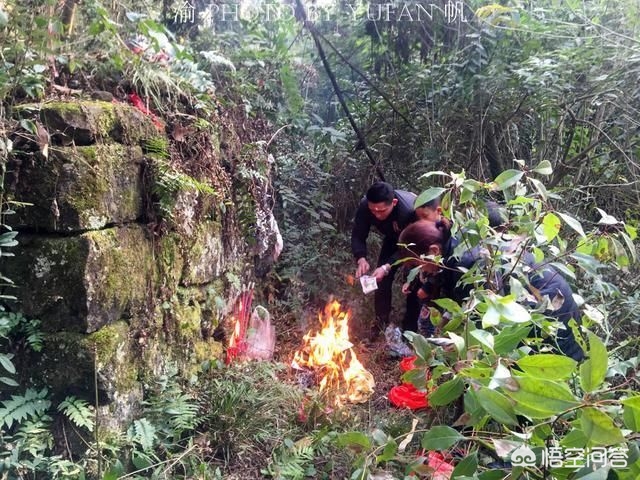 今日科普一下！游客放烟花致山火,百科词条爱好_2024最新更新