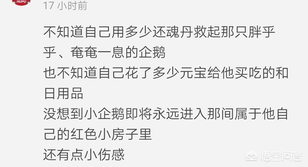 今日科普一下！3万一只AI宠物,百科词条爱好_2024最新更新