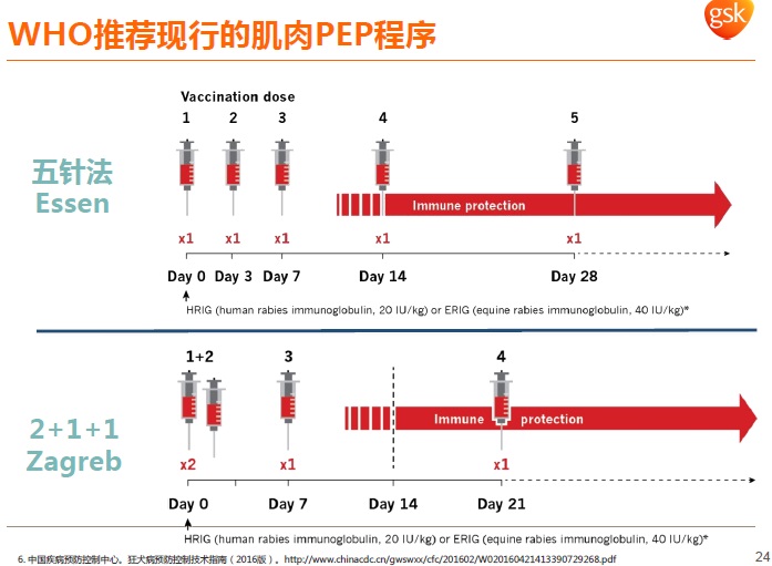 今日科普一下！喂松鼠被挠伤挨5针,百科词条爱好_2024最新更新