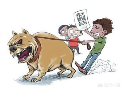 今日科普一下！老人疑遭犬撕咬去世,百科词条爱好_2024最新更新