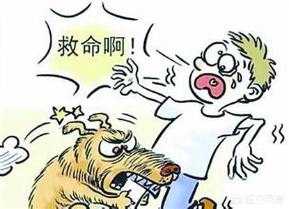 今日科普一下！老人疑遭犬撕咬去世,百科词条爱好_2024最新更新