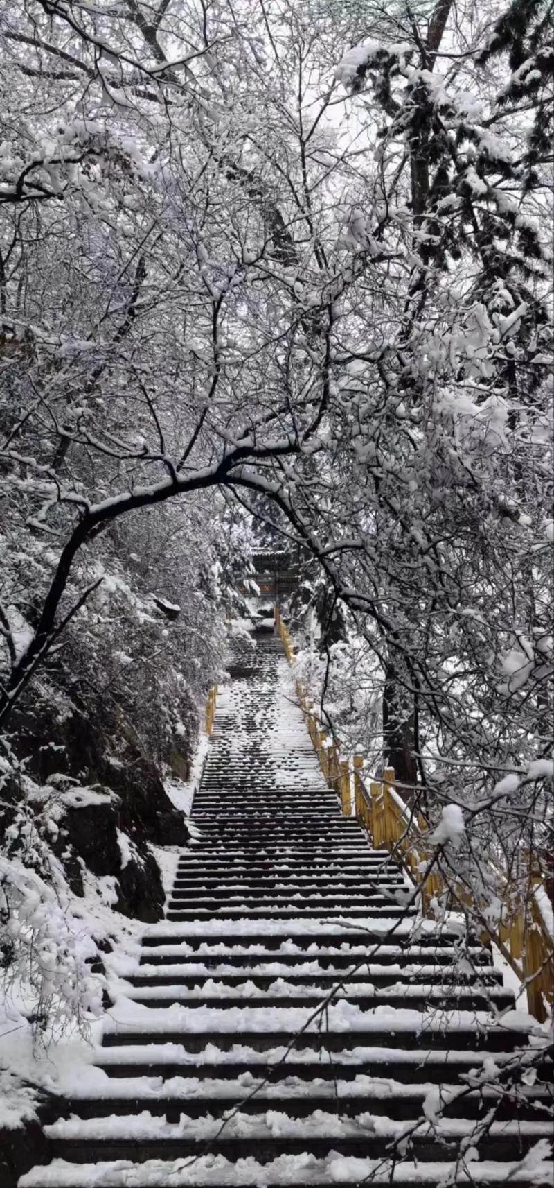 今日科普一下！北京下雪,百科词条爱好_2024最新更新