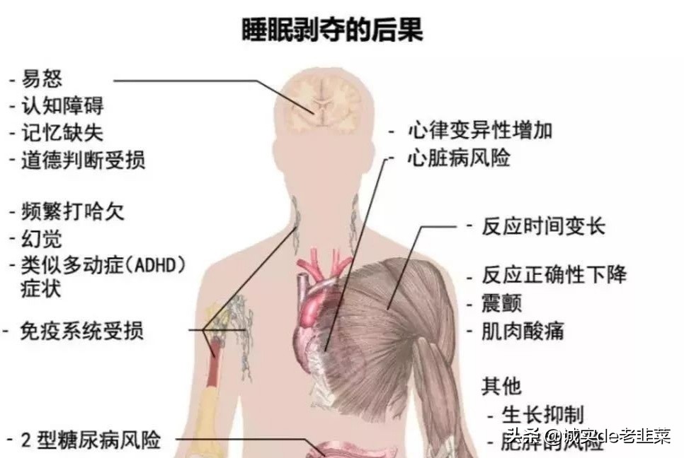 今日科普一下！睡前玩手机5个技巧,百科词条爱好_2024最新更新